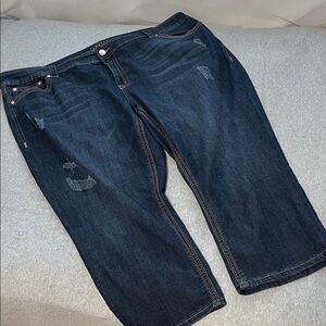 Melissa McCarthy Classic Jeans Size 28W